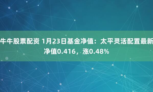 牛牛股票配资 1月23日基金净值：太平灵活配置最新净值0.416，涨0.48%