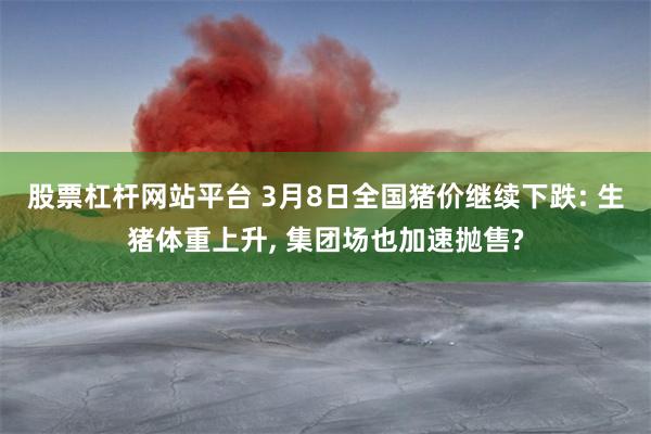 股票杠杆网站平台 3月8日全国猪价继续下跌: 生猪体重上升, 集团场也加速抛售?