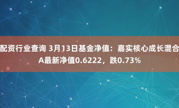 配资行业查询 3月13日基金净值：嘉实核心成长混合A最新净值0.6222，跌0.73%