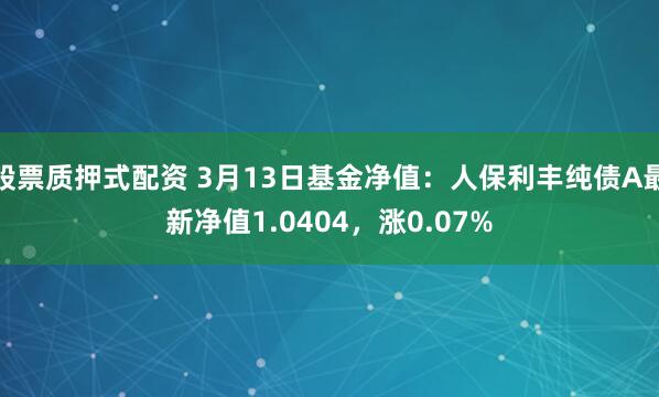 股票质押式配资 3月13日基金净值：人保利丰纯债A最新净值1.0404，涨0.07%